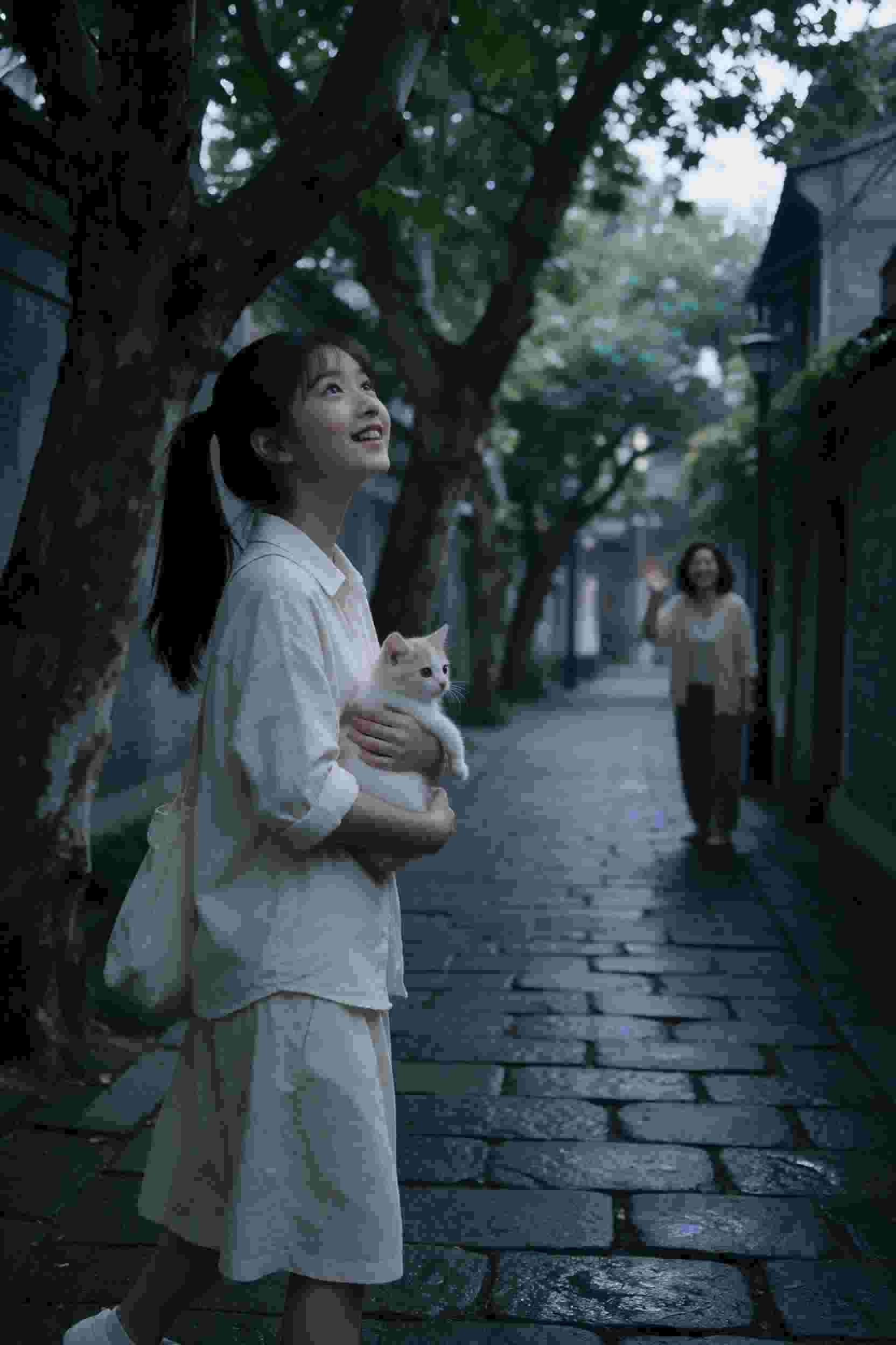赘婿陷阱