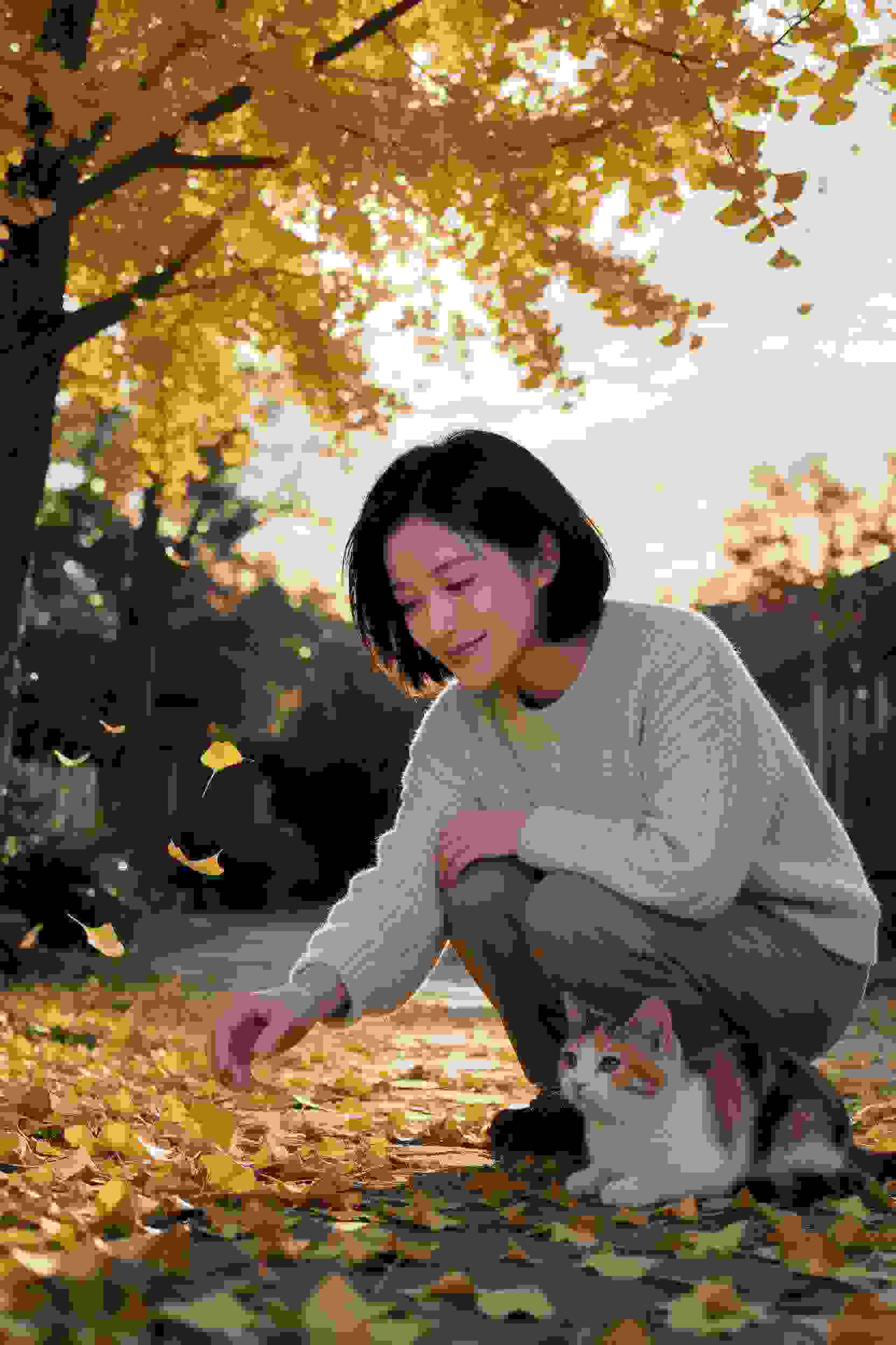 赘婿谋断