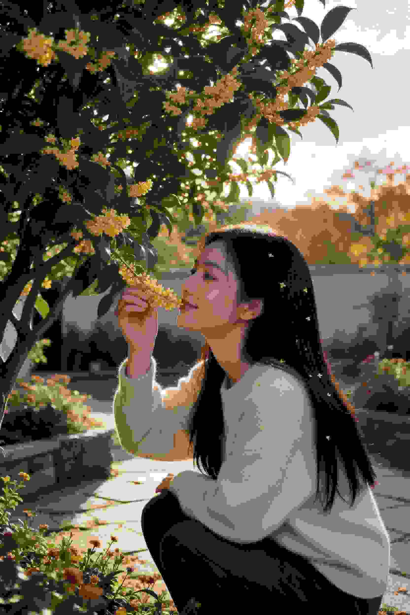 赘婿征途